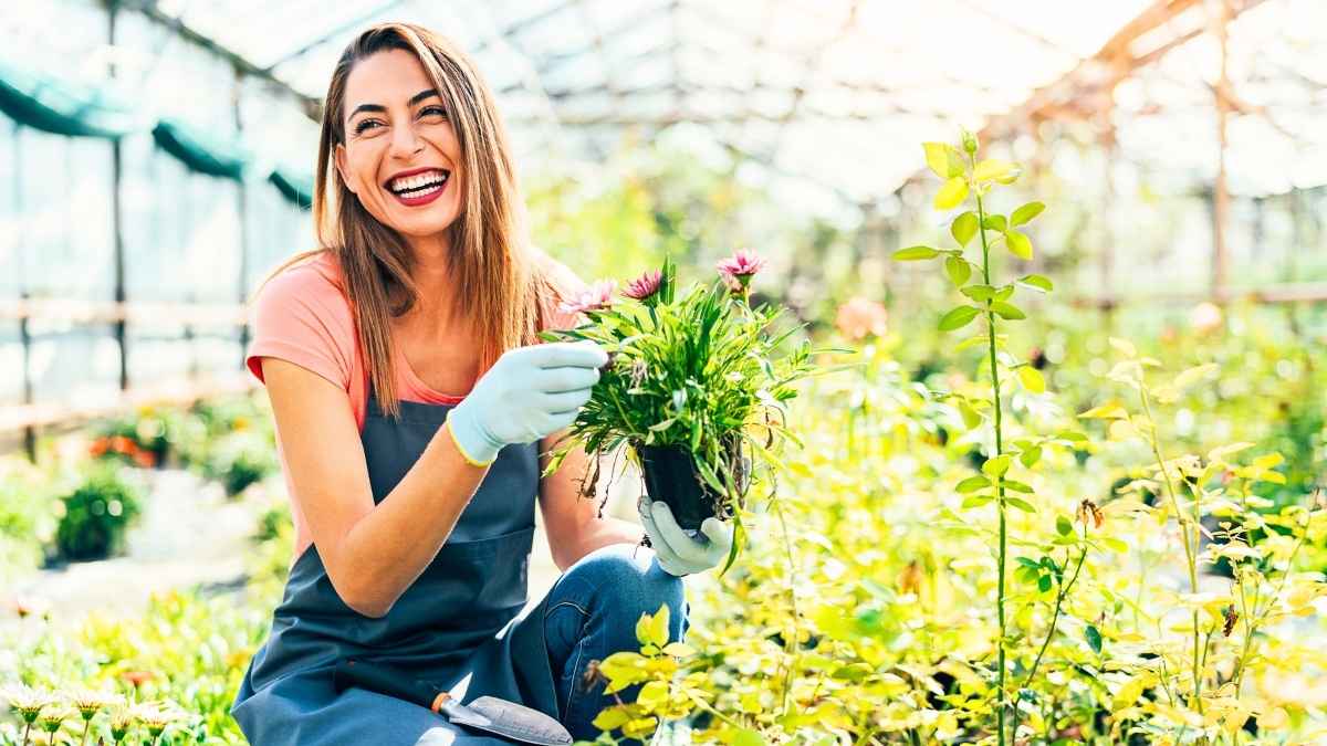 Jardiniers : de plus en plus laissent la terre se tasser cet hiver pour de meilleurs semis au printemps