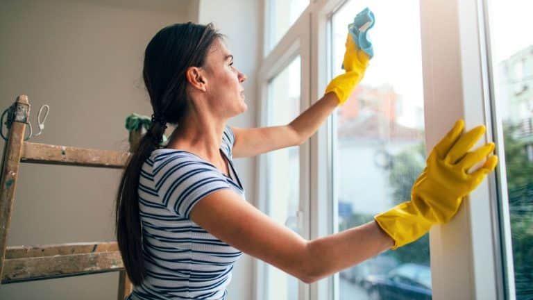 Lidl vend un nettoyeur de vitres qui lave 3 fois plus vite et élimine les traces