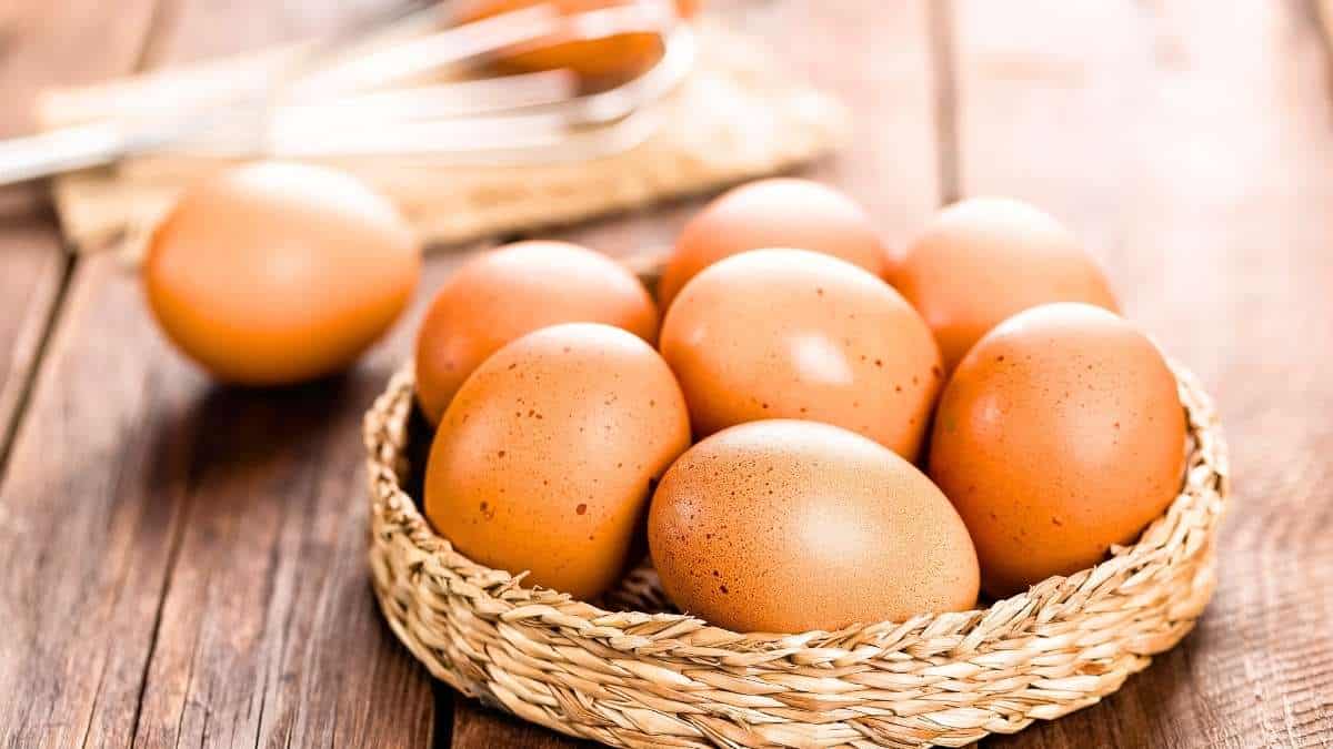 Œufs: le mini-cuiseur à 15,5 € sur Amazon les cuit deux fois plus vite qu’une casserole