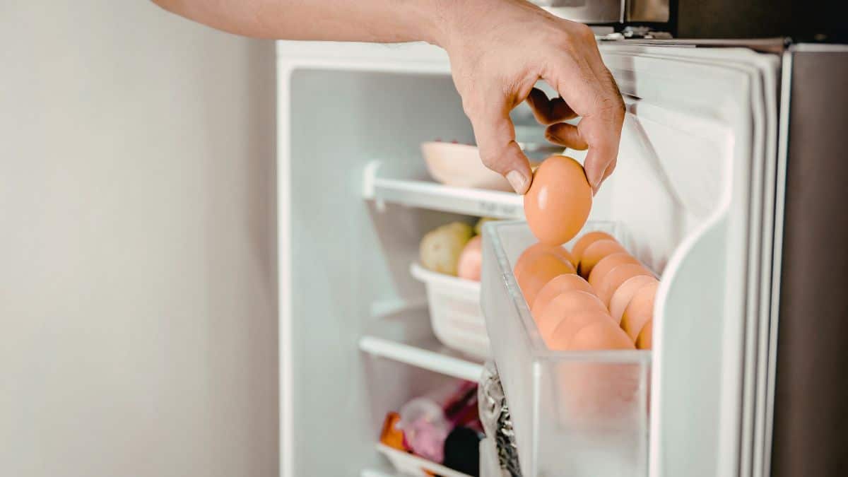 Oeufs: les garder hors du frigo après l’achat évite la condensation et réduit le risque bactérien