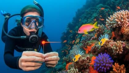 DivertissonsNous - Récifs coralliens profonds: des scientifiques découvrent 20 nouvelles espèces dans des zones jusqu’ici inexplorées