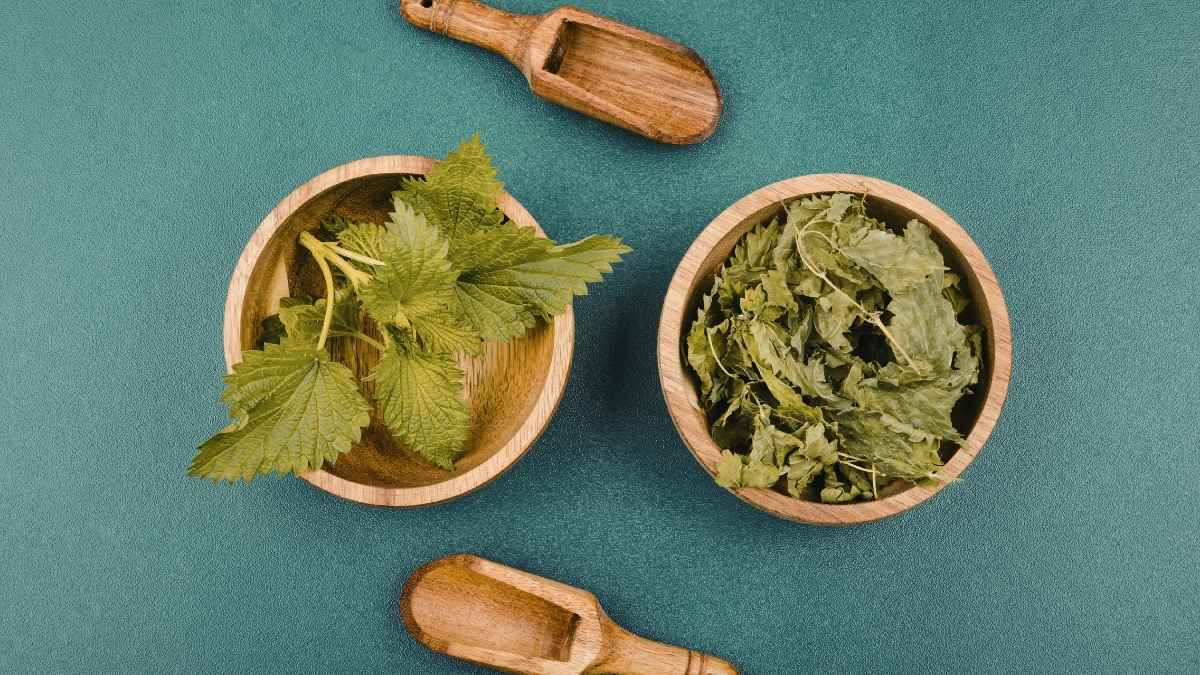 Aromatic herbs: the simple trick to keep them fresh for up to 1 month