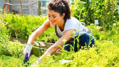 Black garden: why this bold trend is taking over yards in 2026 and the surprising benefits behind it