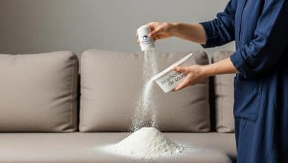 DivertissonsNous - Sofa smell in your living room: this simple baking soda trick freshens your couch in minutes